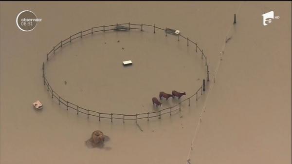 Puternice inundaţii în SUA: un orăşel din statul Washington a fost înghiţit de ape