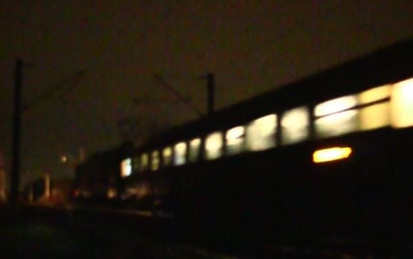 Scenă şocantă în Vrancea. Un pui de urs și-a găsit sfârșitul pe calea ferată (VIDEO)