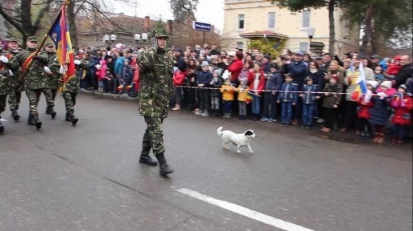Un căţeluş maidanez a făcut spectacol de Ziua Naţională! S-a strecurat subtil printre soldaţi şi a preluat conducerea paradei militare (Video)