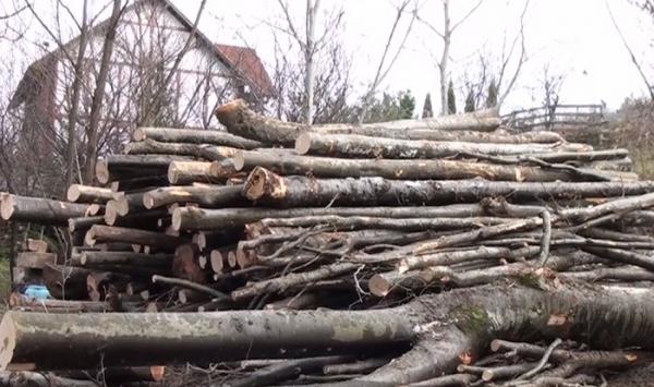 Încă o criză loveşte România. Lemnul de foc s-a scumpit şi nici nu se găseşte îndeajuns