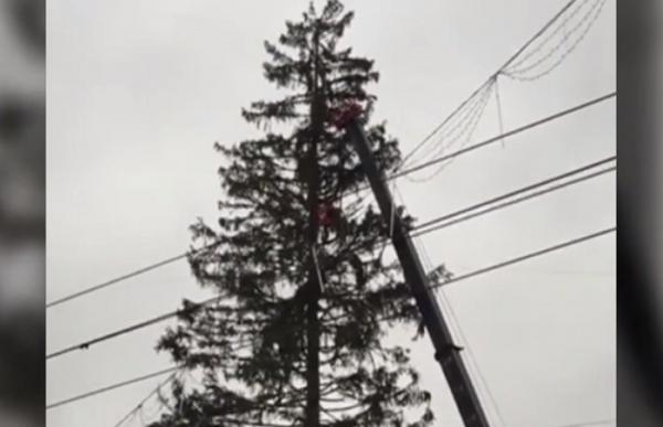 La Chişinău, pomul de Crăciun aduce scandal în locul atmosferei de sărbători