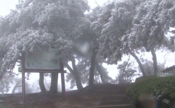 Peisaj de poveste în pădurile din estul Chinei, în urma unui fenomen meteo