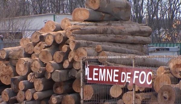 Criza lemnelor de foc aduce profit speculanţilor. Cum evoluează preţurile