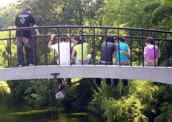 Decizie la Primăria Capitalei. Cel mai mare parc din Bucureşti va purta numele Regelui Mihai (Video)