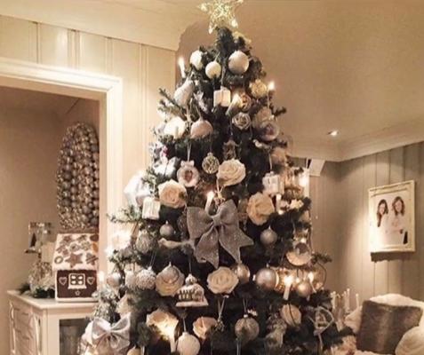 Bradul de Crăciun, vedetă pe Facebook. Românii au publicat mii de fotografii pe reţelele sociale, realizate cât mai artistic