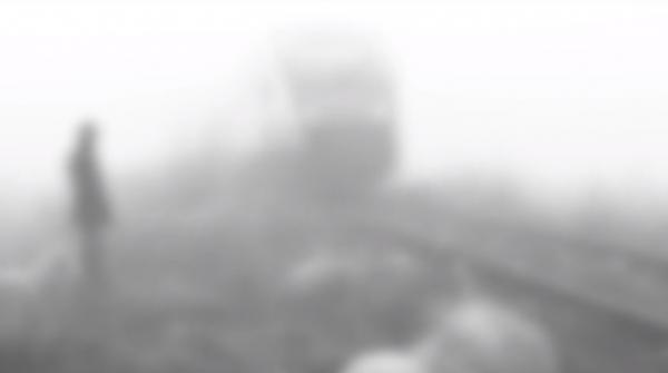 100 de oi, spulberate de tren în Mureş: Ciobanul a observat pericolul în ultima clipă