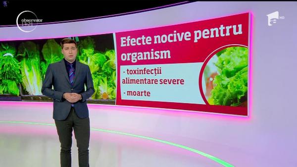 Atenţie la salata verde gata ambalată! Pusă la microscop, i-a lăsat pe oamenii de ştiinţă fără cuvinte (Video)