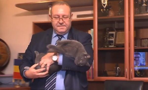 Politicienii români au început să adopte animale de companie şi speră să câştige simpatia alegătorilor
