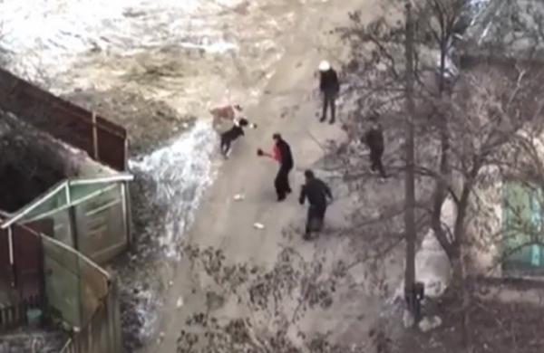 Atacul fiarelor! Doi câini de luptă au sfâşiat o tânără pe stradă, la Iaşi, apoi aproape au mutilat un bărbat. Imaginile groazei