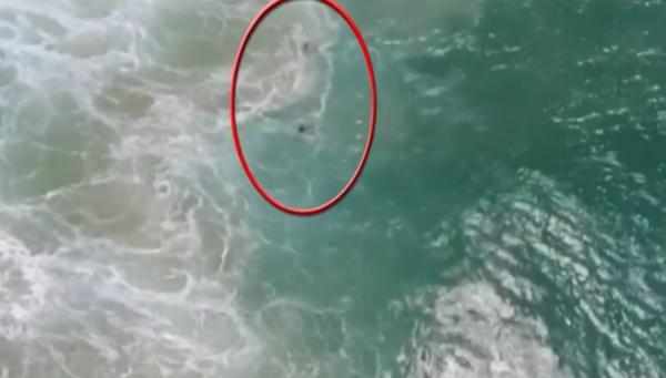 Surferi salvaţi de la moarte cu o dronă, în Australia