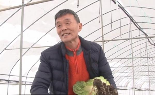 Din greşeală, un coreean a ajuns să cultive legume exotice bio în România