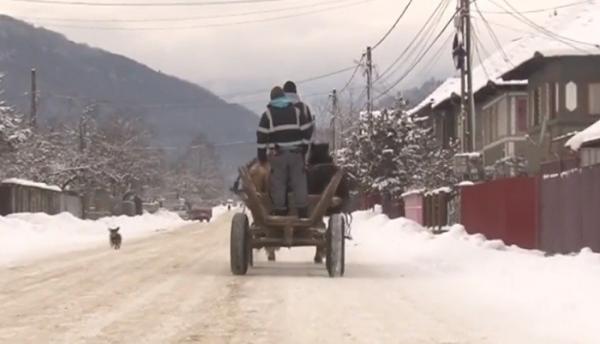 Caz terifiant într-o pădure din Bacău. Trei indivizi au legat un tânăr de un copac şi l-au bătut până l-au lăsat aproape fără suflare