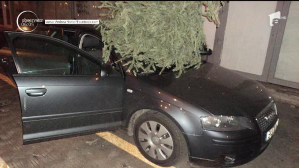 Un bărbat a aruncat bradul de Crăciun, de la balcon în parcare, zdrobind parbrizul unei maşini