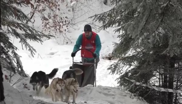 Concurs cu sănii trase de câini la Băile Tuşnad