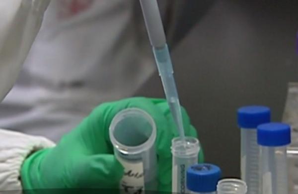 Un nou medicament care ar putea trata cancerul va fi testat pe oameni