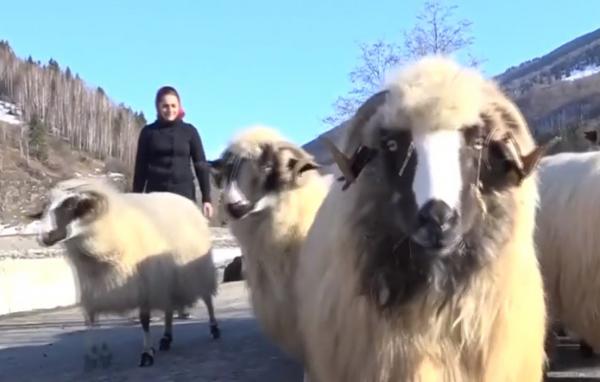 Povestea momârlanilor, cei mai vechi locuitori din Valea Jiului
