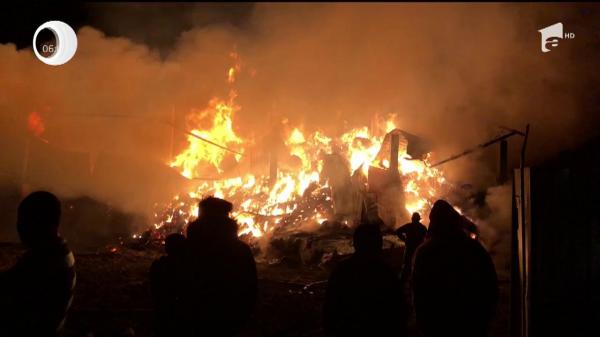 Incendiu devastator la o fermă din Botoşani. Animale moarte şi tone de furaje făcute scrum de flăcări de 5 metri (Video)