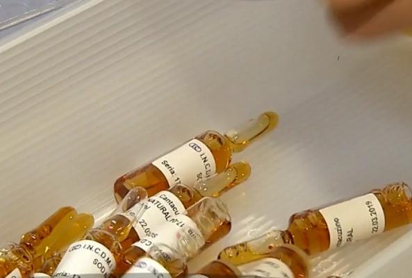 Epidemie de gripă fără tratament. Farmaciile nu au un medicament prescris de medici pentru tratarea şi prevenţia bolii