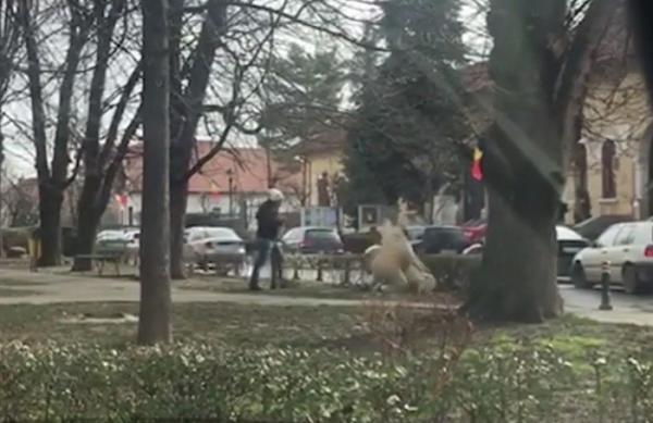 Imagini şocante la Tg. Jiu, unde un maidanez atacă o femeie şi o pune la pământ