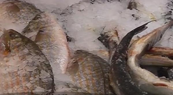 De luni începe Postul Paştelui. Aglomerație în piețele cu pește din ţară (Video)