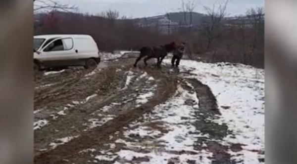 Scene halucinante în Sibiu. Mașină împotmolită în noroi, scoasă cu ajutorul unui cal (Video)