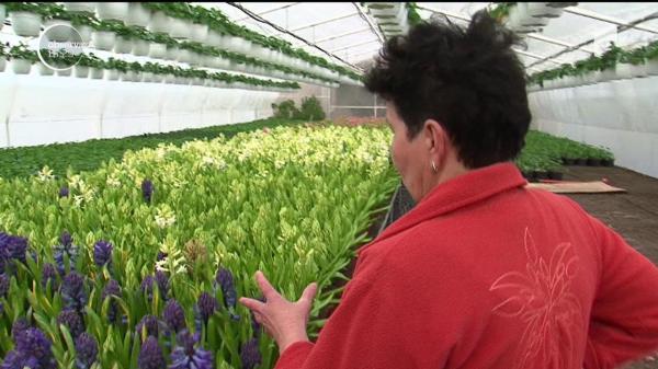 Raiul Florilor există într-o localitate din judeţul Mureş!