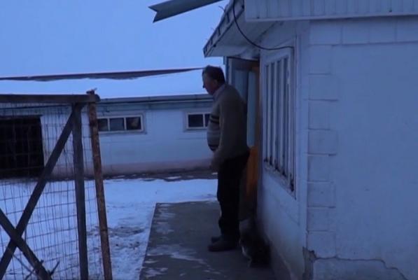 Experiment Observator. Cum arată o dimineaţă geroasă la oraş, comparativ cu aceeaşi dimineaţă, la ţară