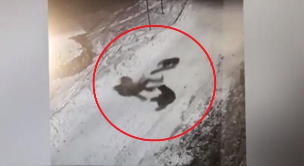 Tânără din Neamţ, atacată de o haită de câini fără stăpân. Primăria ridică din umeri