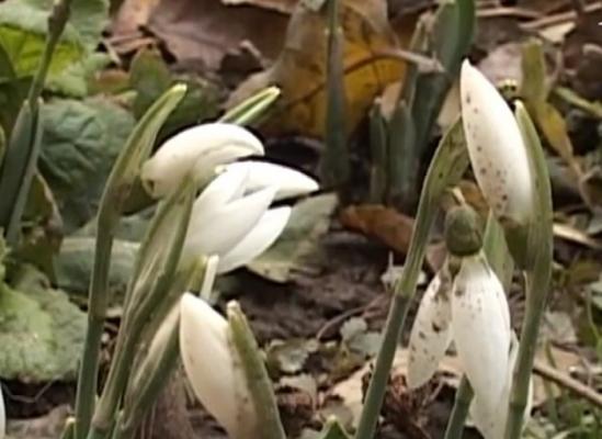 Prognoza meteo pentru week-end-ul viitor dă peste cap orice aşteptare. Vremea e iar surprinzătoare