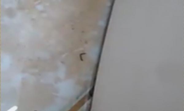 Reacția Spitalului din Galați la imaginile cu viermi filmate de o mamă, în interior