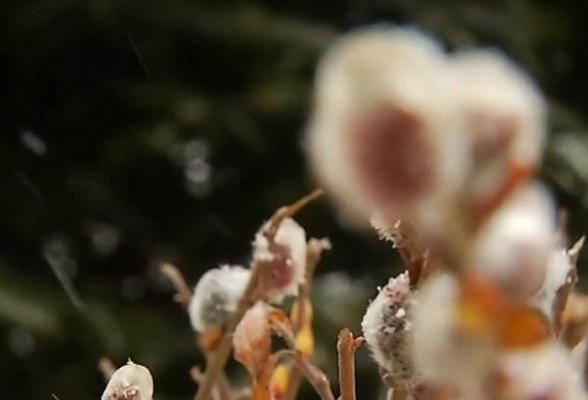 Meteorologii au anunţat cum va fi vremea de 1 aprilie. Şi nu e păcăleală!