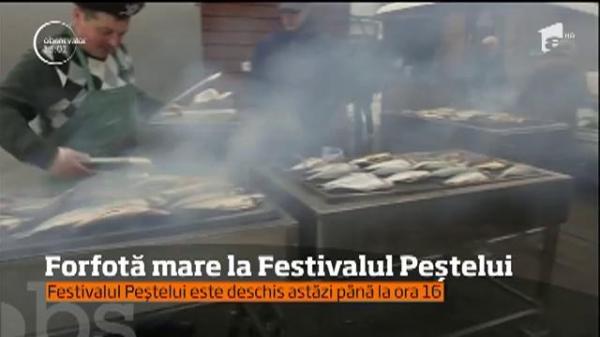 Sărbătoare mare pentru credincioşi! E duminica Floriilor pentru creştinii romano catolici, iar ortodocşii prăznuiesc Buna Vestire