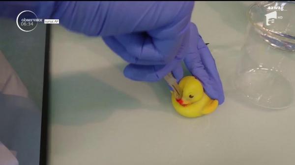 Răţuştele pentru baie pot fi purtătoare de microbi periculoşi!