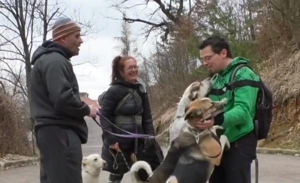 Câinele pe care-l adopţi va fi dresat gratuit! Un braşovean doreşte să salveze cât mai multe animale fără adăpost