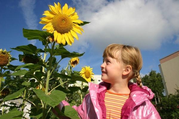Vreme de Paşte cu temperaturi de vară. Sunt aşteptate peste 20 de grade în termometre!