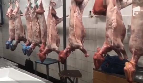 Carne de miel ținută la cald, găsită de Inspectorii de la Protecţia Consumatorului la Constanţa