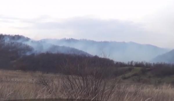 Foc în pădurile din Caraş Severin, pompierii abia fac faţă flăcărilor