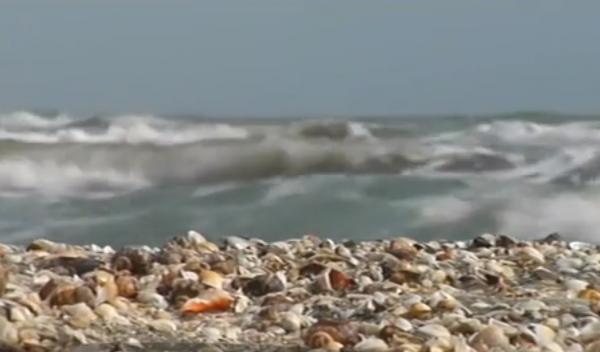 Picnic la malul mării, de Paşte. Turiştii au luat masa direct pe plajă