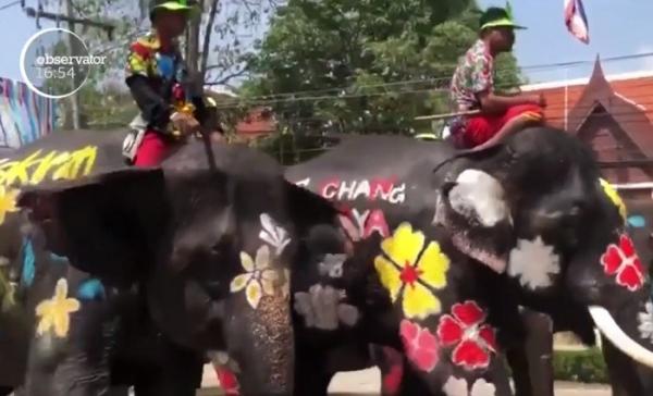 Festival spectaculos în Thailanda, cu ocazia intrării în noul an