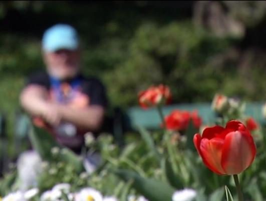 Ceea ce poate părea o răceală, în această perioadă, poate ascunde o alergie. Cum putem face diferenţa