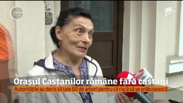Orașul Castanilor rămâne fără castani