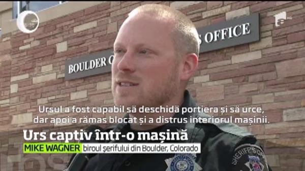 Poliţiştii din statul american Colorado au avut de-a face cu un "suspect" cu totul neobişnuit