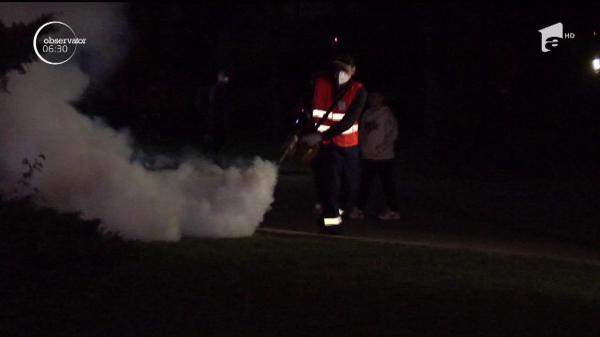 A început "bătălia" cu țânțarii. Parcurile și spațiile verzi din București sunt pulverizate cu insecticide