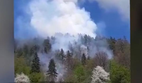 Incendiu uriaş de pădure la Bacău. Misiune dificilă, au intervenit peste 100 de pompieri