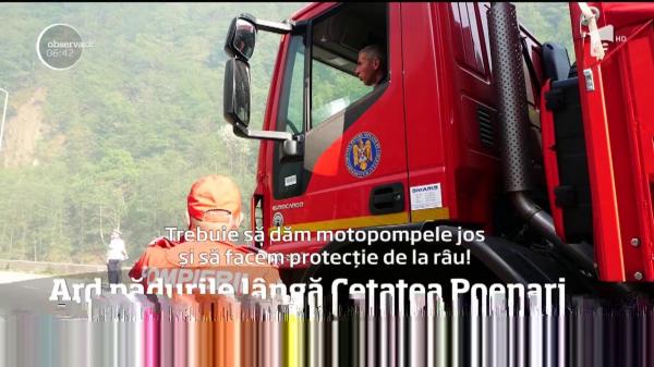 Ard pădurile de lângă Cetatea lui Vlad Ţepeş, din Argeş, de aproape două zile