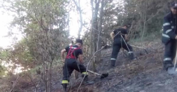 Incendiile de vegetaţie par tot mai greu de ţinut în frâu