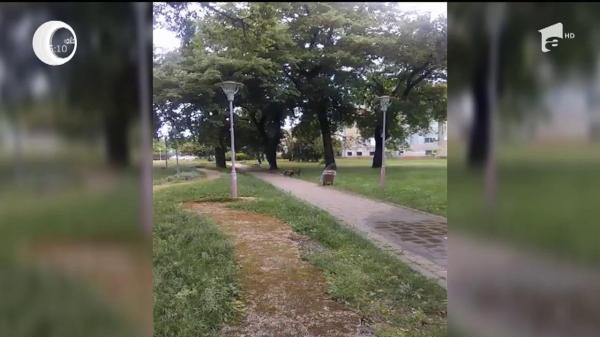 Băncile din Parcul Copiilor din Timişoara, udate ca florile. Ce s-a întâmplat cu sistemul de irigaţii
