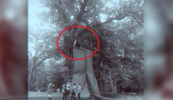 Noi detalii în cazul copilului căzut cu tiroliana la Craiova. Traseul periculos a fost montat ilegal, deşi autorităţile apăreau pe afişe