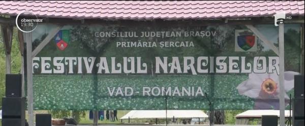 Festivalul Narciselor fără narcise, paradoxul românesc care a dezamăgit sute de oameni