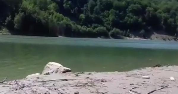 Mobilizare de forţe în judeţul Buzău. Un cunoscut cântăreţ de muzică lăutărească a dispărut fără urmă